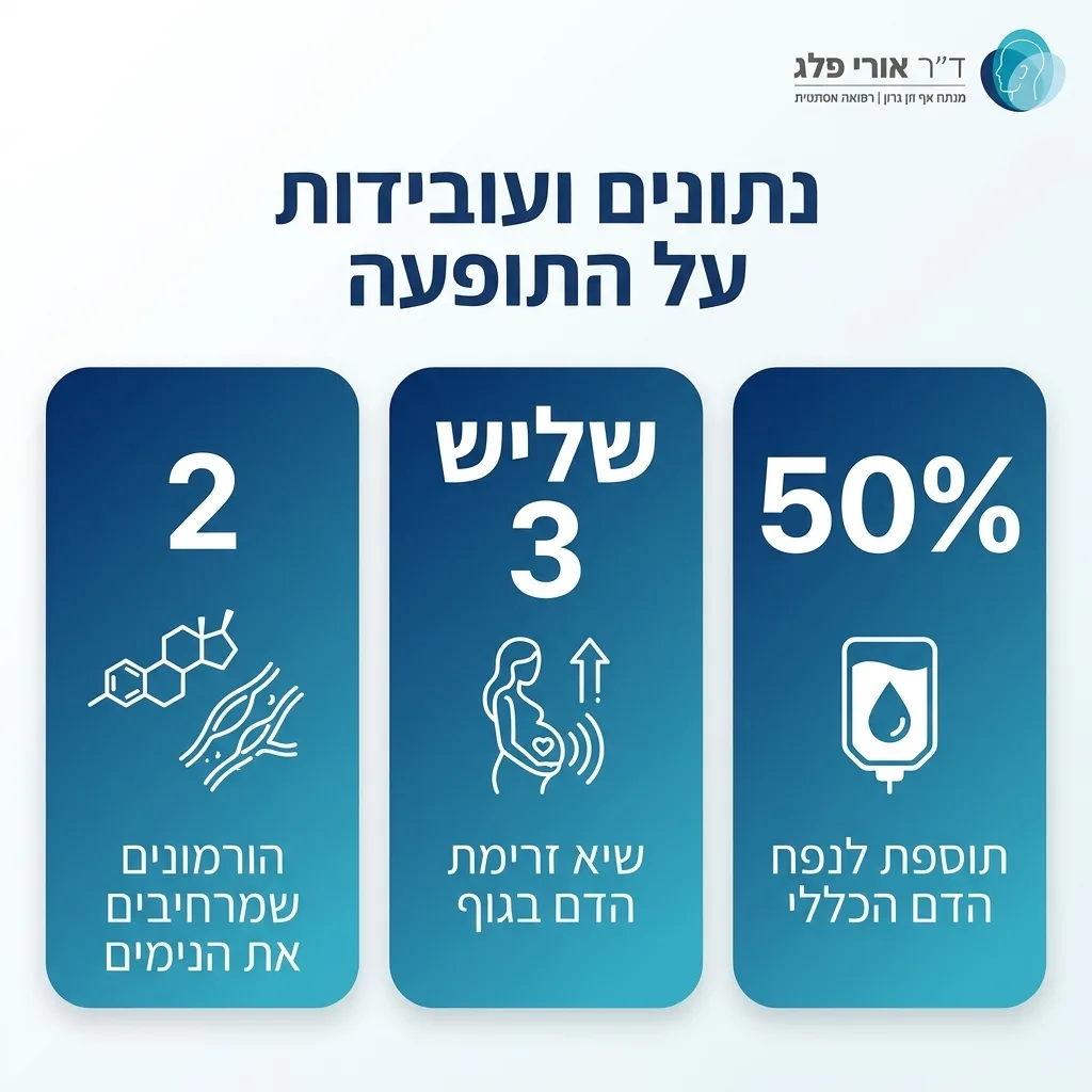 אינפוגרפיקה — נתונים ועובדות על התופעה: תוספת לנפח הדם הכללי, שיא זרימת הדם בגוף, הורמונים שמרחיבים את הנימים