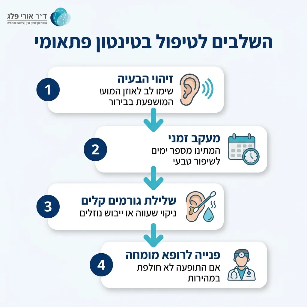 אינפוגרפיקה — השלבים לטיפול בטינטון פתאומי: זיהוי הבעיה, מעקב זמני, שלילת גורמים קלים, פנייה לרופא מומחה