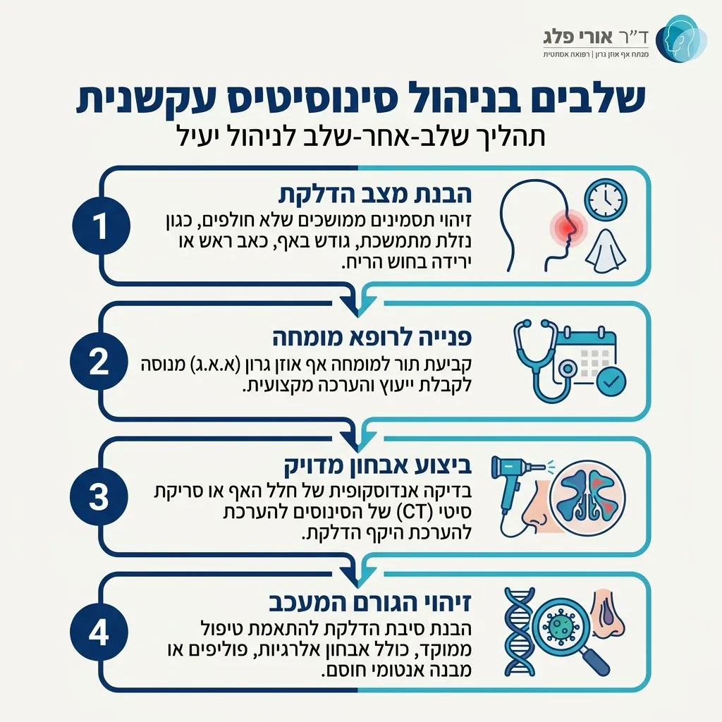 אינפוגרפיקה — שלבים בניהול סינוסיטיס עקשנית: הבנת מצב הדלקת, פנייה לרופא מומחה, ביצוע אבחון מדויק, זיהוי הגורם המעכב