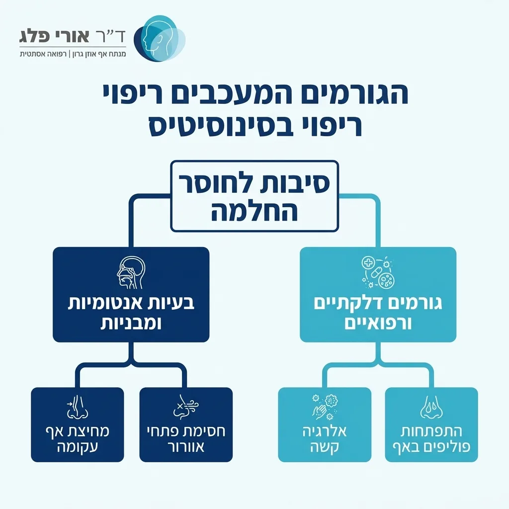 אינפוגרפיקה — הגורמים המעכבים ריפוי בסינוסיטיס: סיבות לחוסר החלמה
